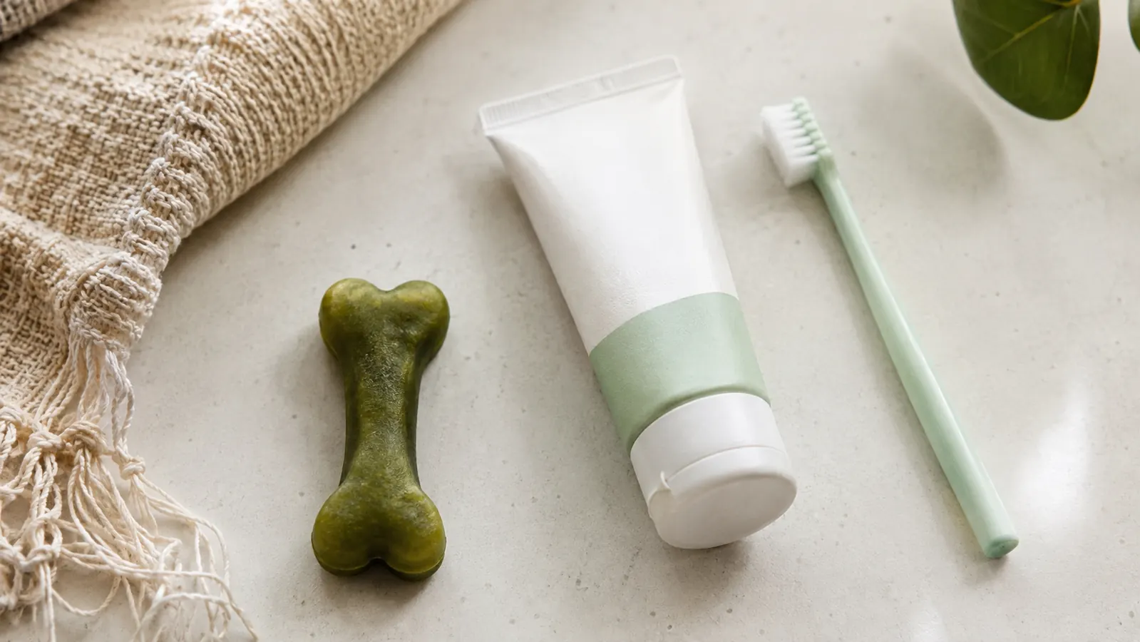 A grocery-store style shelf comparing a bag of dental treats to a tube of dog toothpaste