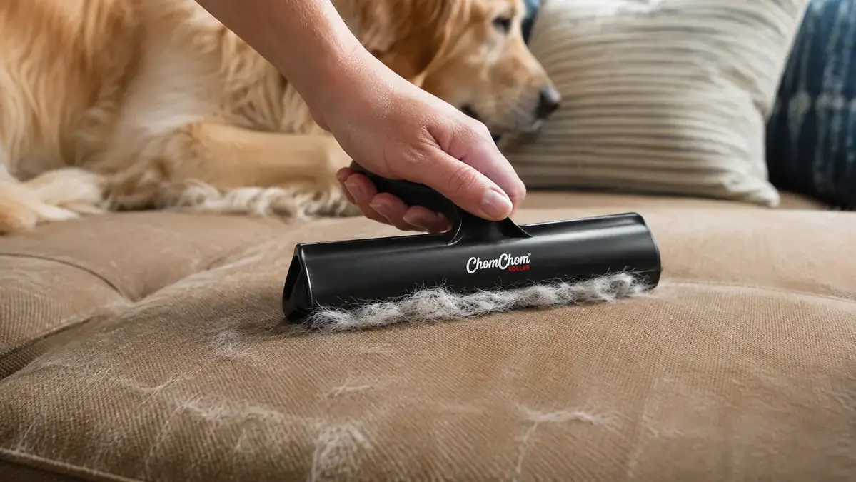 A close-up of a woman's hand rolling a black reusable pet hair roller across the tan fabric of a couch cushion, a line of lifted fur gathering at the edge of the roller