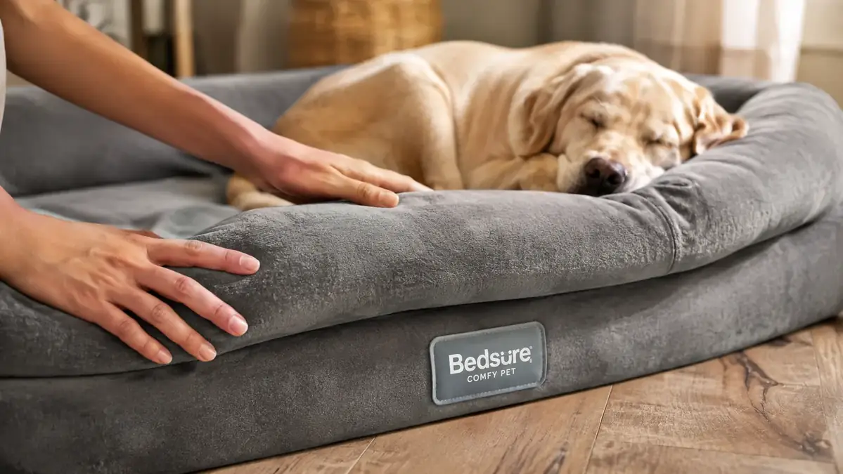 Hands smoothing back a grey dog bed's washable cover next to a sleeping senior Lab, showing the raised bolster sides